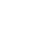 SSN Generator Logo